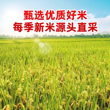 岭南穗粮好有 小油粘米 南方籼米 软香粘大米 家庭装30斤 /粮油调味 /米 /油粘米 商品图2