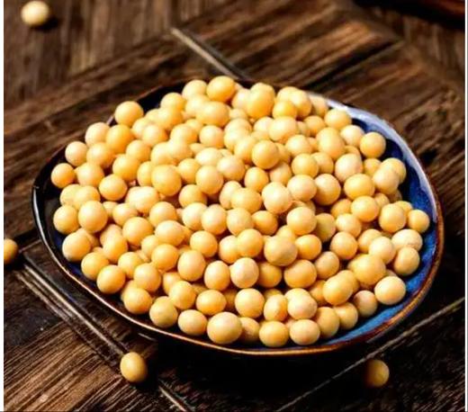 北纯黄豆25kg/袋 商品图0