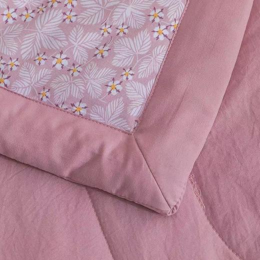 【春上新】10楼 恐龙 小茶芯印花抗菌纤维夏被-粉果 200*230cm 吊牌价880元 活动价99元 商品图1