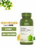 【保税仓】GNC健安喜银杏叶提取物胶囊120MG100粒 商品缩略图1