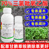 70%三氯吡氧乙酸除络石藤水花生构树藤蔓杂灌恶性杂草专用除草剂 商品缩略图3