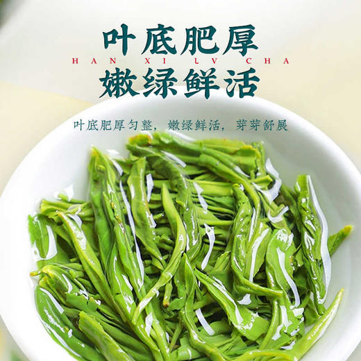 【夏季冷泡茶】【2025新茶】茶马世家高山云雾茶硒茶500g 商品图4