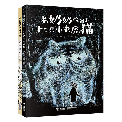 呜哩哇啦叔叔系列（老奶奶捡到了十二只小老虎猫+右脚那只球鞋逃走了） 商品图1