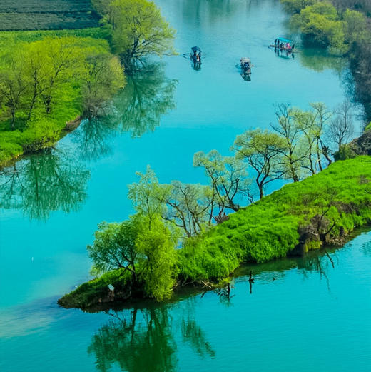 元旦3天【婺源望仙谷】三清山の菊径村-卧龙谷-樟村-月亮湾-景德镇陶溪川-瑶里古镇~纯玩精品团火车 商品图1