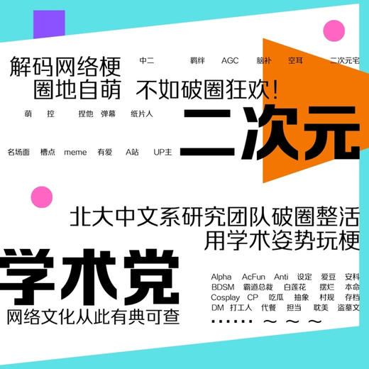 破壁书：网络文化关键词（增订版）丨一本由北大专业团队出品的网络文化词典 商品图2