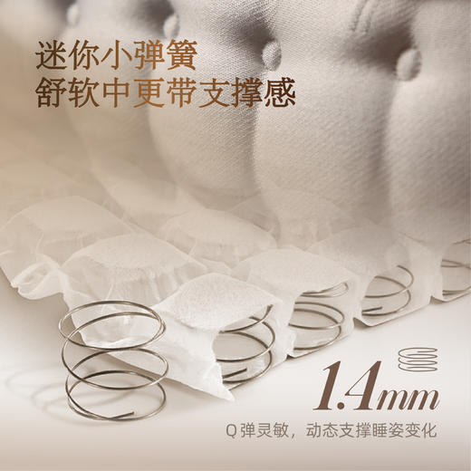 雅芳婷床垫家居床上用品佛罗伦萨床垫天然乳胶棕榈棉床垫LK073 商品图3