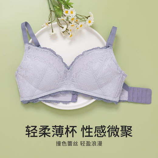 【小胸聚拢多款可选】熳洁儿性感蕾丝内衣小胸无钢圈聚拢莫代尔文胸21261579/21261540/21261532 商品图0