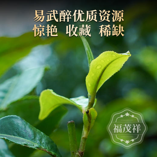【2025年春茶】【瑶族公主】三年淬炼荣耀归来 无可代替的味觉盛宴 2025年春茶云南易武茶区普洱生茶古树拼配茶饼357g 商品图1