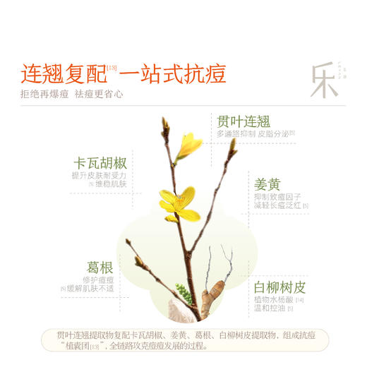 【官方直发】乐妍滤痘平衡水乳套组（水120ml+乳100ml）控油祛痘 效期28年4月 商品图4