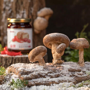 母亲香菇牛肉酱 辣味 210g 夹馍拌面拌饭酱 佐餐调味酱 辣椒酱 /粮油调味 /调味品 /中式酱料 商品图4