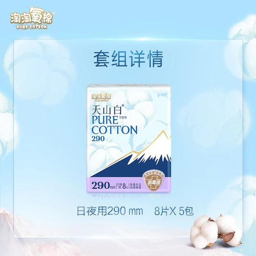 洁伶淘淘氧棉天山白无香290mm 8片（250369） 商品图2