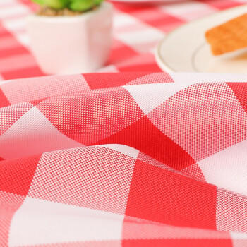 HOUYA一次性桌布1.6米10张 野营餐垫餐桌布家用餐布印花台布防水桌垫 商品图3