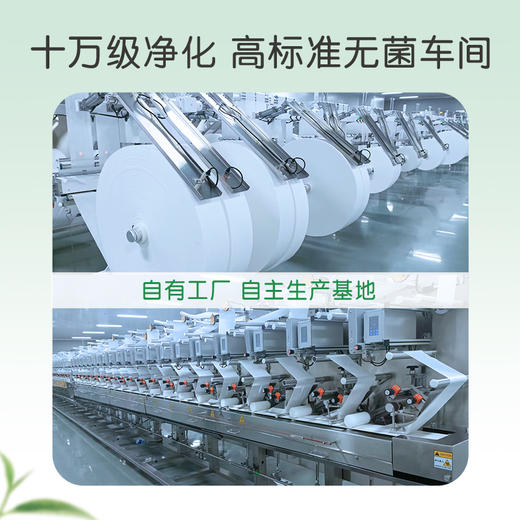 【官方自营】清风御本草单片装草本湿巾8片*10包箱装 商品图6