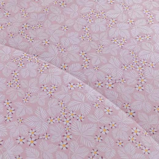 【春上新】10楼 恐龙 小茶芯印花抗菌纤维夏被-粉果 200*230cm 吊牌价880元 活动价99元 商品图2