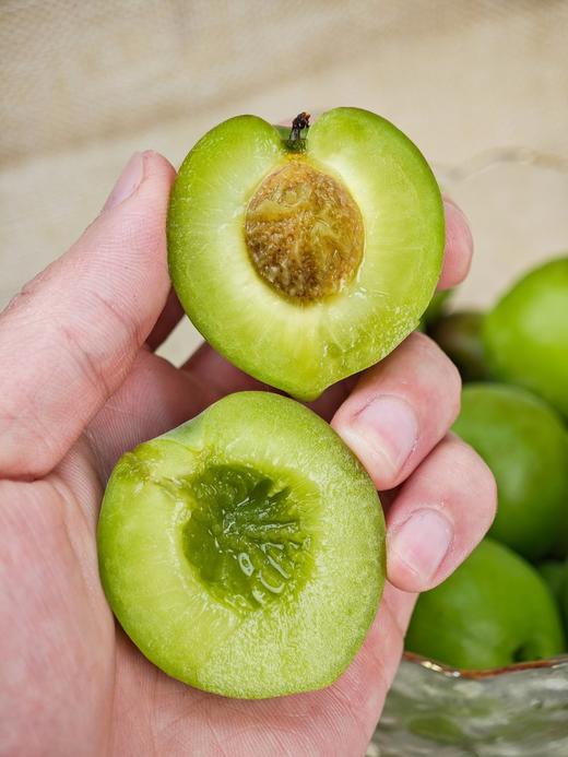 【秒杀】高山老树青梅2.5斤装 商品图2