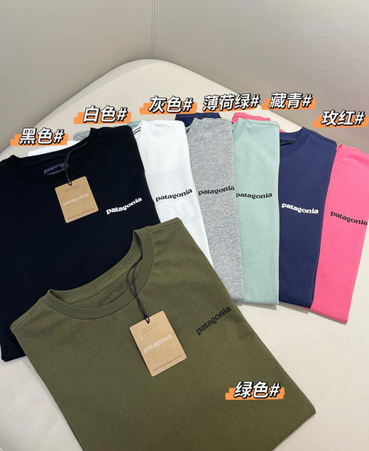 巴塔哥尼亚p6短袖t恤050903 商品图1