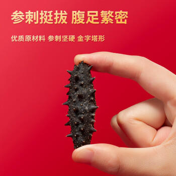 久年大连淡干海参100g15-24只 实木礼盒 臻品辽刺参 海鲜干货礼盒送礼 /粮油调味 /南北干货 /干海参 商品图4