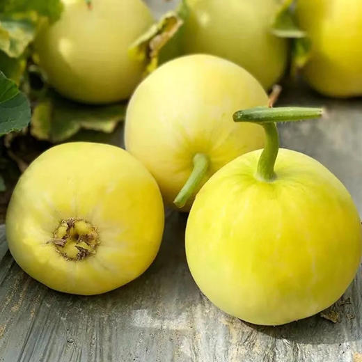 【超甜❗小蜜罐甜瓜】个大饱满，甜脆爽口，肉质鲜嫩，色泽诱人，脆甜多汁，新鲜水果瓜包邮蜜罐甜瓜L 商品图1