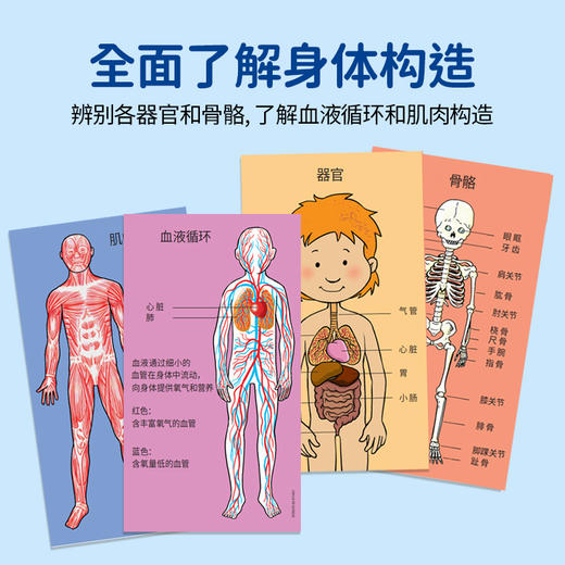 KOSMOS科乐多 《人体探索实验》 实验玩具 适合5岁+ 图文科普 K602307 商品图2