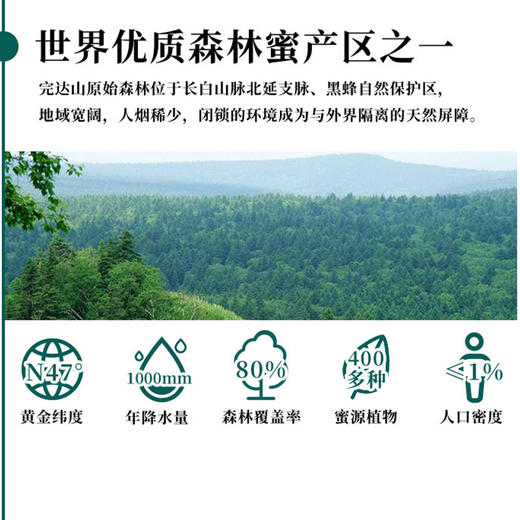 黑森迎春黑蜂椴树蜜 东北原始森林野生雪蜜天然结晶二期蜂蜜400g 商品图3