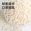 甸禾东北有机糯米1.24斤 端午粽子原料 糯米饭 五谷杂粮粗粮 独立罐装 /粮油调味 /杂粮 /谷米类 商品缩略图0
