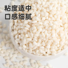 甸禾东北有机糯米1.24斤 端午粽子原料 糯米饭 五谷杂粮粗粮 独立罐装 /粮油调味 /杂粮 /谷米类