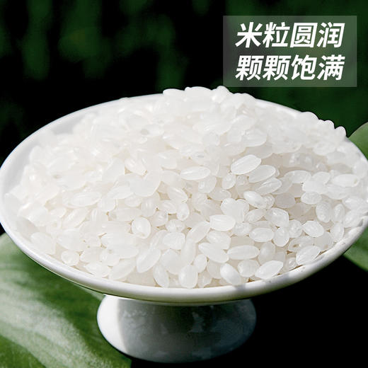 2.5kg线上聖上壹品粒粒香真空 商品图2