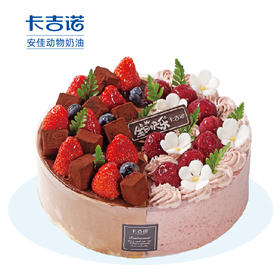 [双拼黑巧淬梅] 黑巧与莓果的完美结合