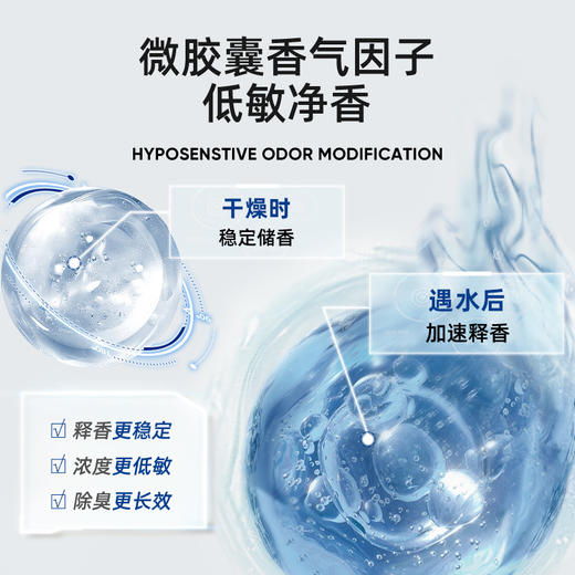 【老客内购】LORDE里兜小银钻矿砂猫砂4.5kg*2袋 商品图2