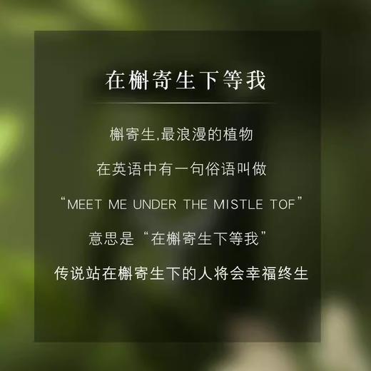 六鑫珠宝 槲寄生月光石吊坠 轻奢小众 S925纯银 商品图1