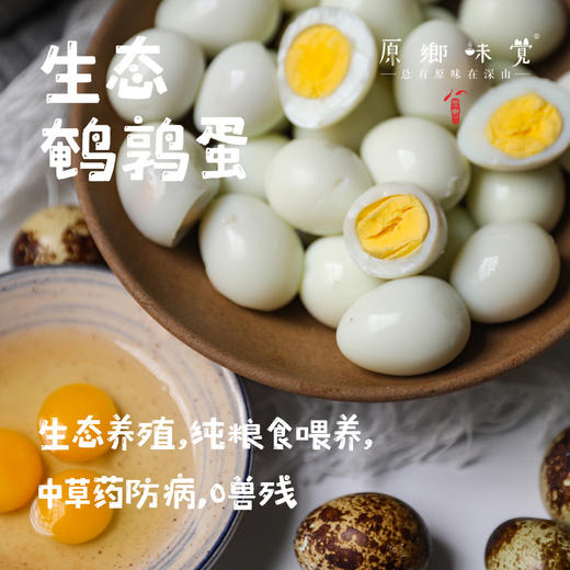 生态鹌鹑蛋（基地直发-顺丰包邮）|多种规格，来自四只瓢虫珠海基地，生产者：邹子龙【合作生产，公平贸易】 商品图0