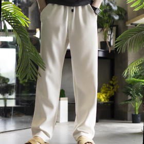 夏季新款速干舒适抗皱型 男士休闲运动裤——两色可选