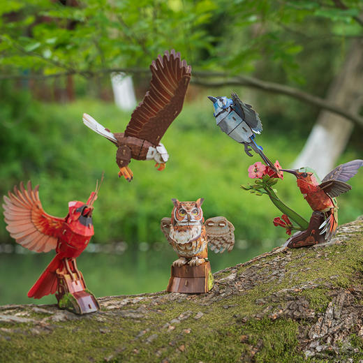 博物文创 飞鸟集系列立体拼插纸模 会发声纸模 益智动脑 雕鸮 主红雀 白头海雕 蜂鸟 冠蓝鸦 商品图0