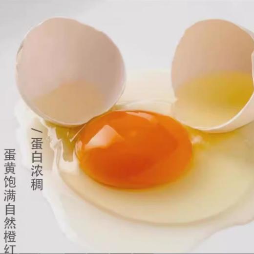 本地红心鸡蛋（饶平）30粒 商品图1