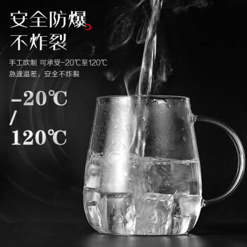 物生物（RELEA）玻璃杯男女士茶水分离杯耐高温办公泡茶杯带把高硼硅水杯花茶杯子 商品图6