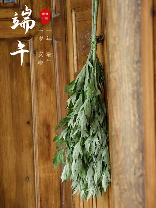端午节新鲜艾草艾叶一年一端午一岁一安康挂艾宜早不宜晚驱基地直邮 商品图0