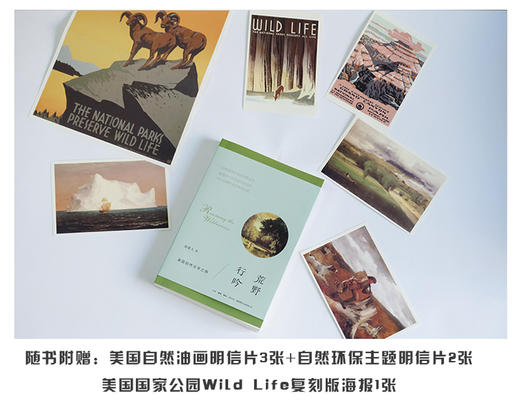 荒野行吟：美国自然文学之旅丨反思两百年美国自然文学，重温四十位作家学者佳作，关注全球性生态环境危机附赠老海报明信片 商品图3