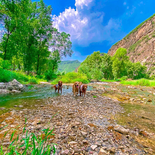 周末1天【百里画廊】【免门票】休闲游览延庆百里山水画廊三大精华点の干沟-硅化木-滴水壶 商品图3
