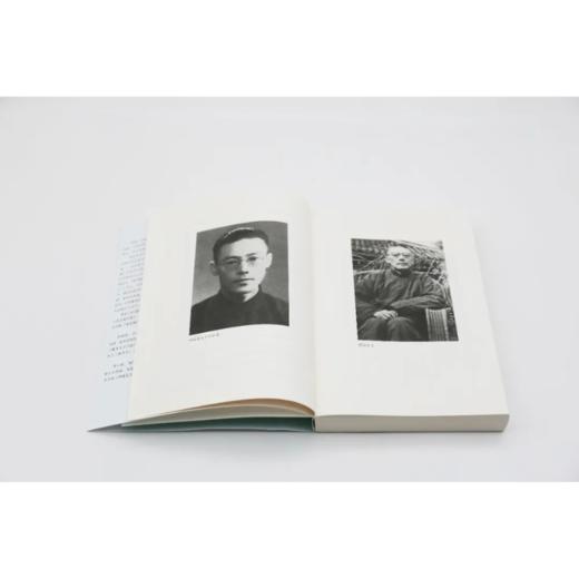 奇气灵光之境丨中国诗词大会学术顾问叶嘉莹先生主编，名家谈诗词系列 商品图5