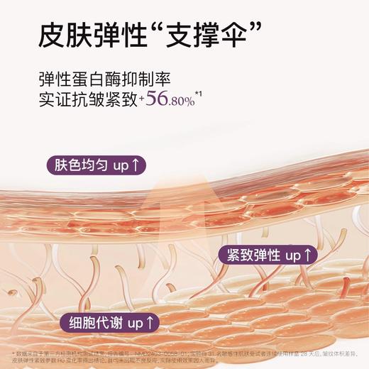 【2件减10】【眼部精华油】以油养敷 紧致抗皱 支撑皮肤弹性 藏住年龄~ 商品图5