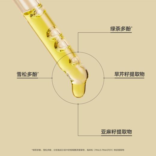 DAISYSKY雏菊的天空丨桂影慕兰紧致精华油15ml/30ml 商品图6