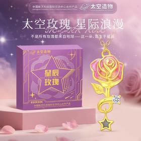 热卖中！！【中国航天科技国际交流中心合作产品】太空造物星辰玫瑰陨石项链