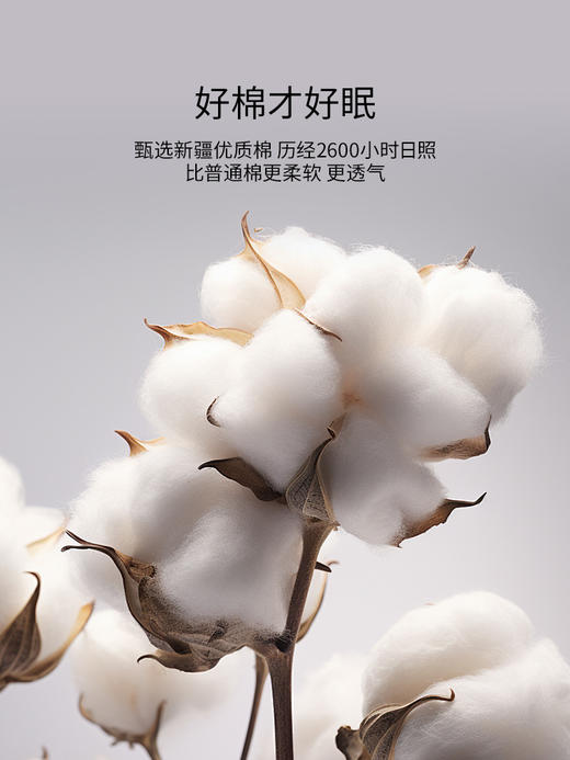 佳丽斯60支长绒棉四件套纯棉全棉床单轻奢高级感主卧室2025新款 商品图4