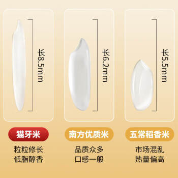 江京猫牙米 10kg 长粒大米 南方梯田米 20斤装 丝苗米 /粮油调味 /米 /丝苗米 商品图2