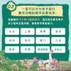 《旅途中的超级数学课》基础级+提高级+挑战级 4-8岁 6大能力培养+数感训练 轻松搞定数学启蒙 商品缩略图3