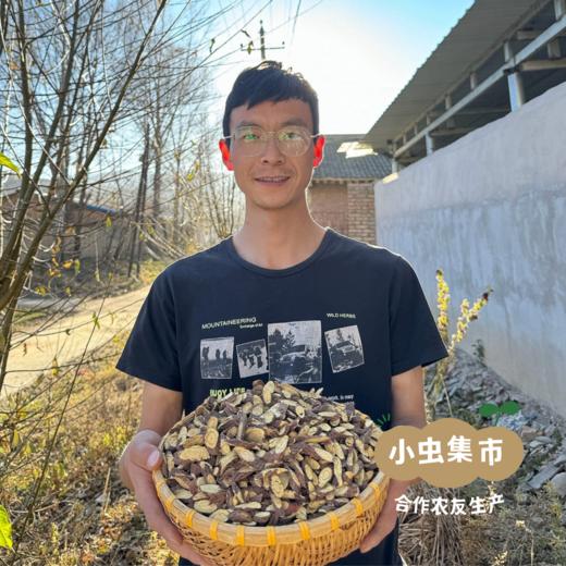 甘肃岷县野生甘草 250g | 合作农友生产，产自甘肃定西，生产者：陈建军 &【公平贸易农人定价】 商品图9