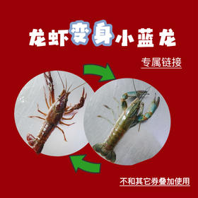 【宇宙卡变身升级蓝龙兑换券链接】小龙虾“变身升级“小蓝龙，此链接用于宇宙卡“变身券”可用于特色龙虾变身为等重特色蓝龙，极品龙虾变身为等重极品蓝龙