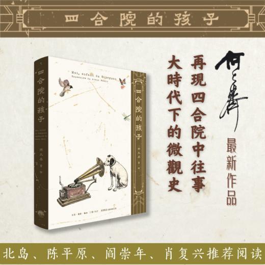 四合院的孩子丨何大齐新作，北岛推荐 商品图1