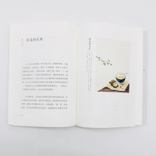 口福二集：小吃六十品丨东西南北各地小吃+32幅精美水彩插画，有美食，有故事赵珩汪朗推荐 商品图6