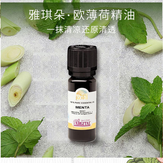 欧薄荷精油10ml 提神醒脑 养肝&利胆 防晕车 商品图1